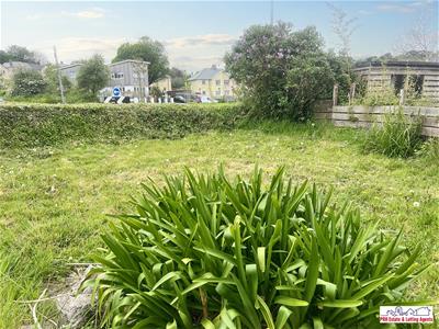 Elevations & Gardens